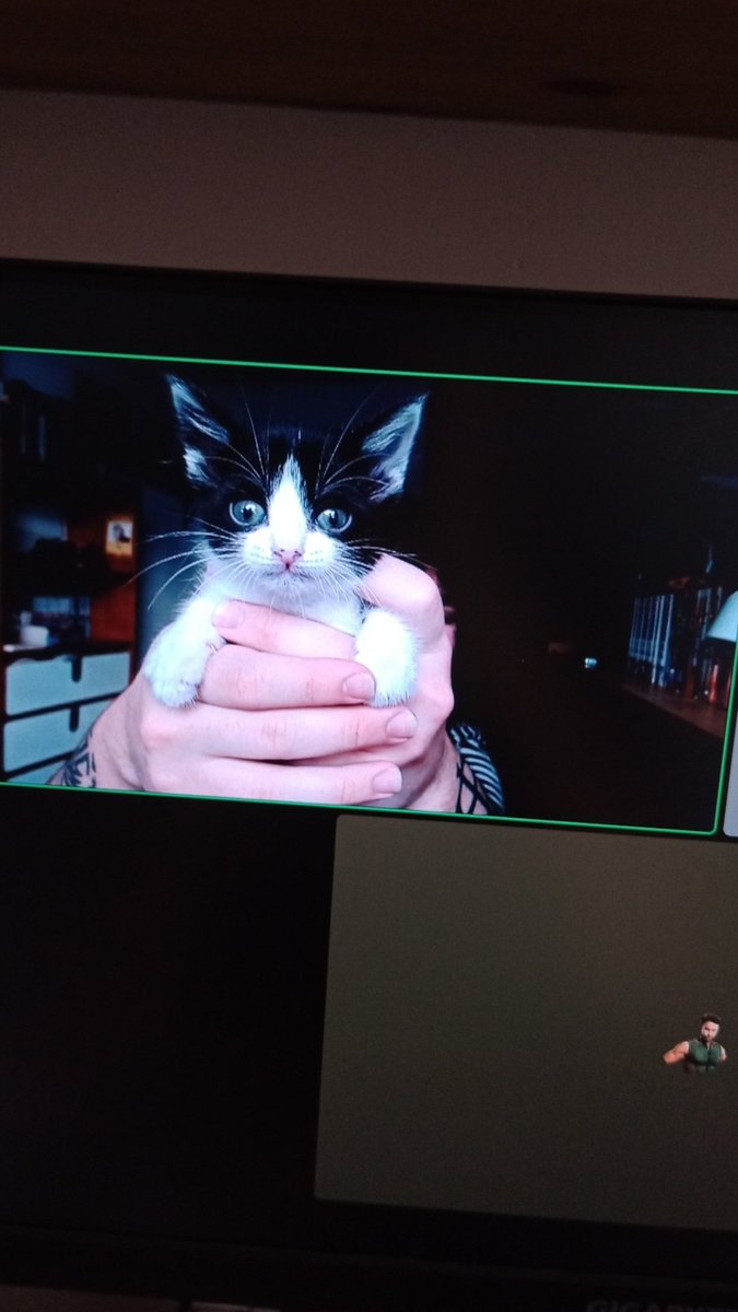 haciendo dc con la gata de rod