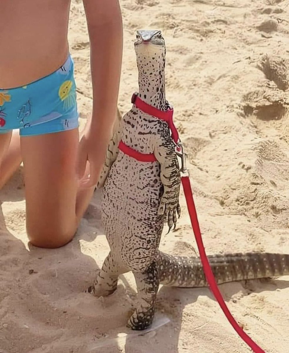 <a href="/AstonMartinF1/">Aston Martin Aramco F1 Team</a>