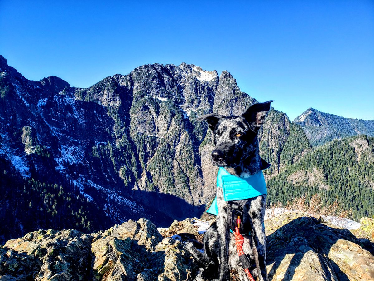 Min_Reyes's tweet photo. So grateful to be able to get away and enjoy the peace of the mountains https://t.co/3uFJIpTWXj