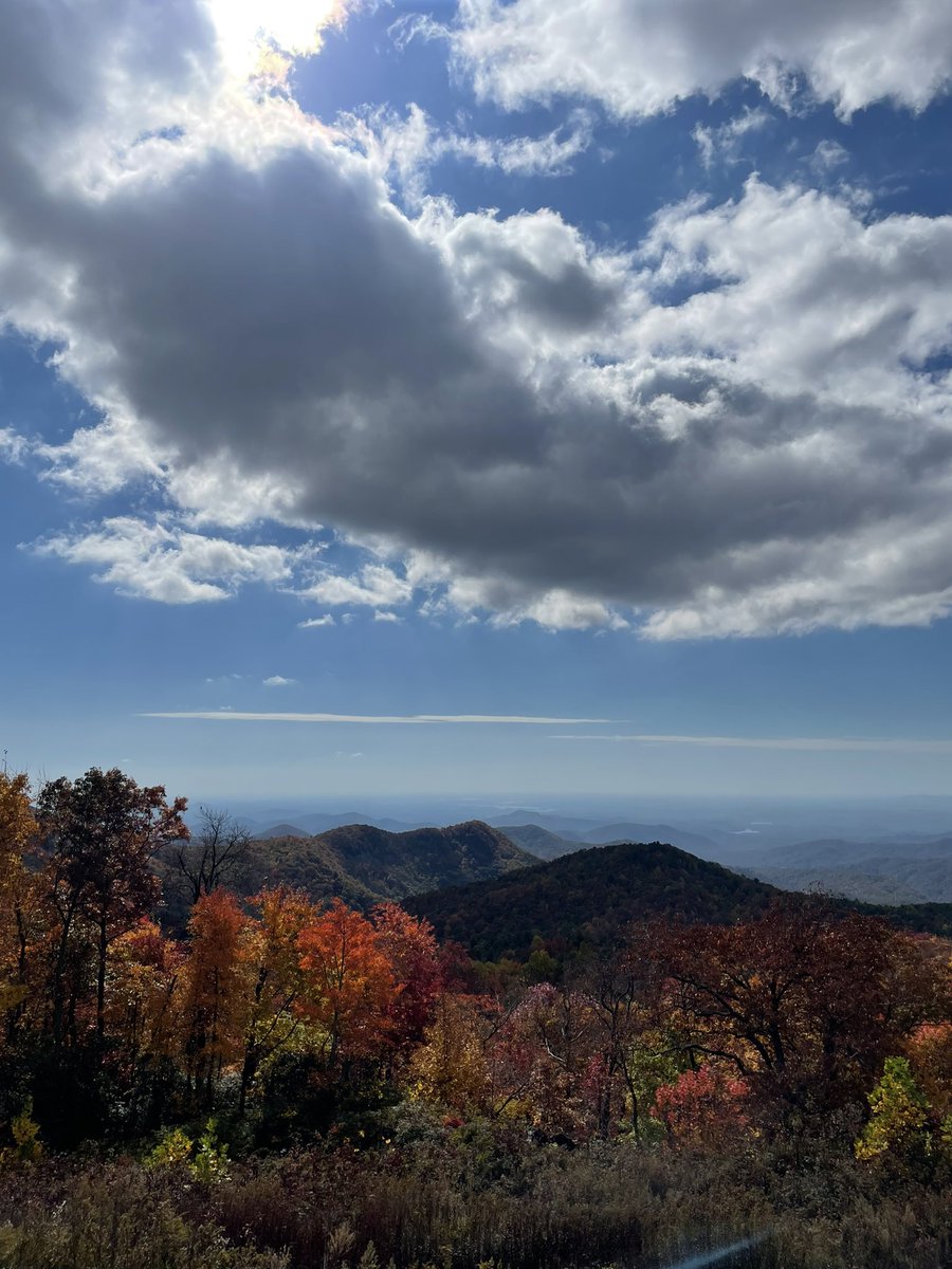 DKCaudell's tweet photo. A fool says in his heart that there is no God - Proverbs 14:1 #CreationDeclares https://t.co/C4b0OIpPWH
