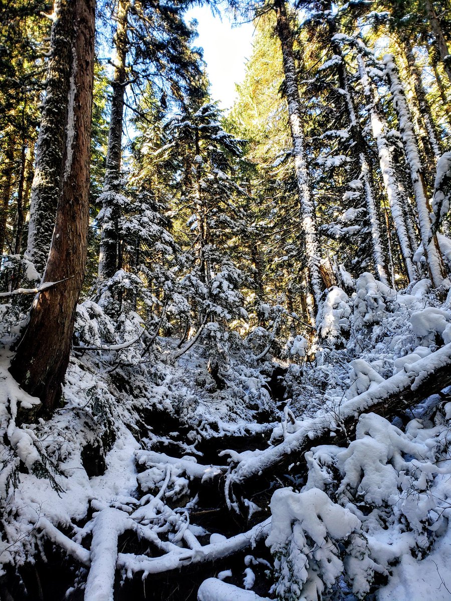 So grateful to be able to get away and enjoy the peace of the mountains