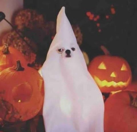 Buuu https://t.co/PnulkDojjG<a href="/tag/lunes"class="tags"><span>#lunes</span></a>