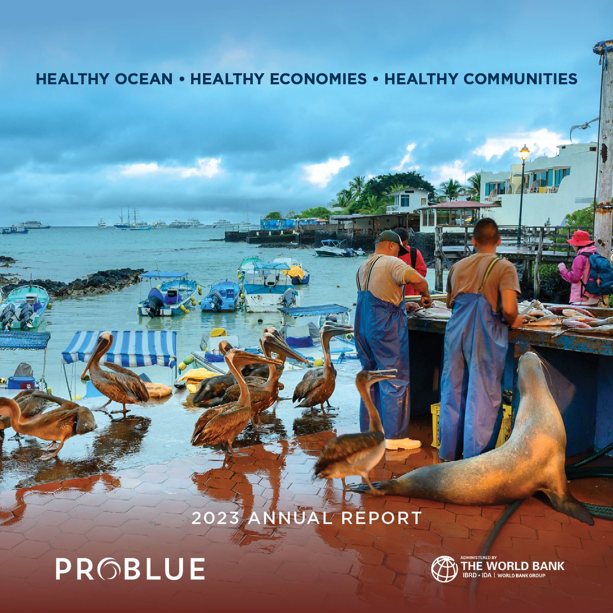 ∼37% of the world’s population lives in coastal areas, directly dependent on the ocean for their health, nutrition and economic security. Read more on how #PROBLUE_Ocean is supporting @WorldBank’s work on improving the health of the ocean ➡️ wrld.bg/mM2G50Q0kY3