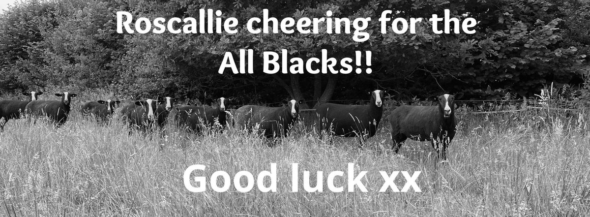 ZwartblesUK's tweet photo. Supporting our family and friends in New Zealand💪🏉🍀🤞#RWC #rugby #AllBlacks #Zwartbles https://t.co/HilVkqoYPZ