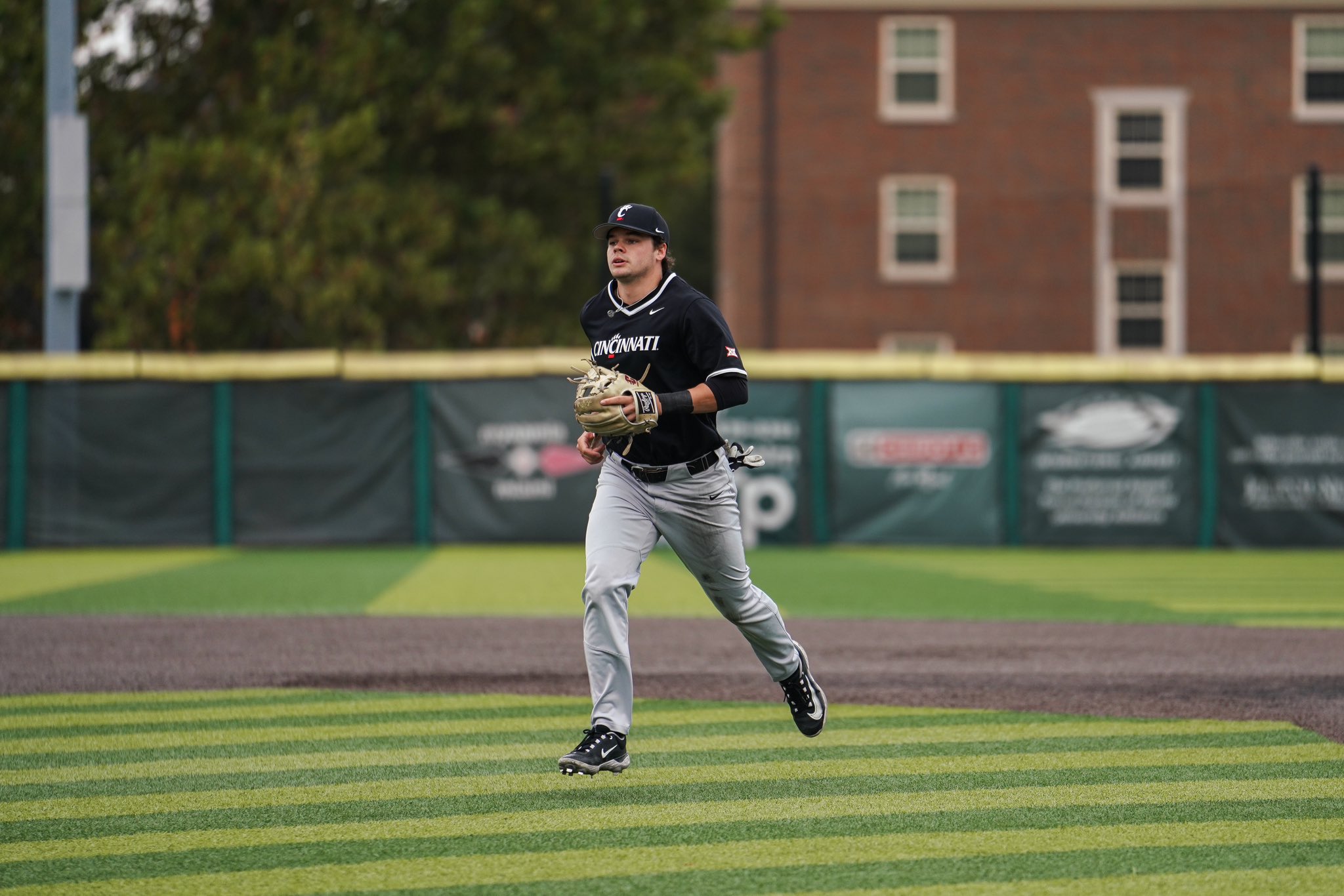 Men's Baseball  University of Cincinnati