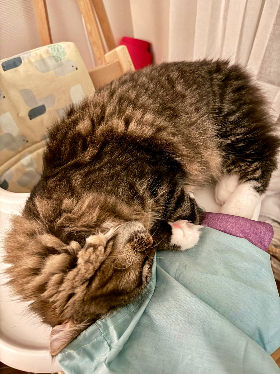 Chateigneuse's tweet photo. Le plateau pour la chaise bébé, c’était vraiment une excellente idée 👌🏻 https://t.co/D5P6Przico