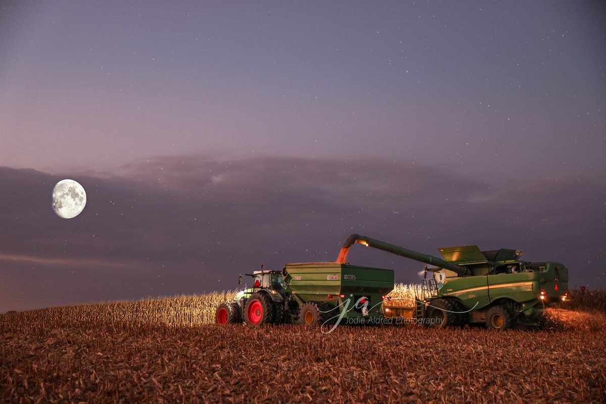 Jodie Aldred Photography (@jodieaphoto) on Twitter photo Whenever Iโm around <a href="/farmparkona/">Michelle Hoffsuemmer</a> thereโs a 95% chance Iโve got the back window of a tractor open with my camera hanging out ๐ธ
Thankful they support me and my photo addiction as well! #ontag Whenever Iโm around <a href="/farmparkona/">Michelle Hoffsuemmer</a> thereโs a 95% chance Iโve got the back window of a tractor open with my camera hanging out ๐ธ
Thankful they support me and my photo addiction as well! #ontag