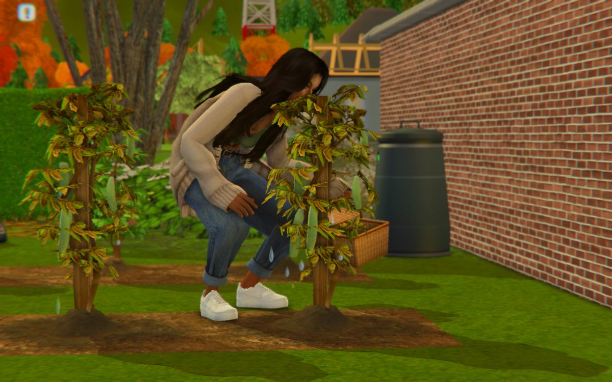 Messyframes's tweet image. ❤️‍🩹