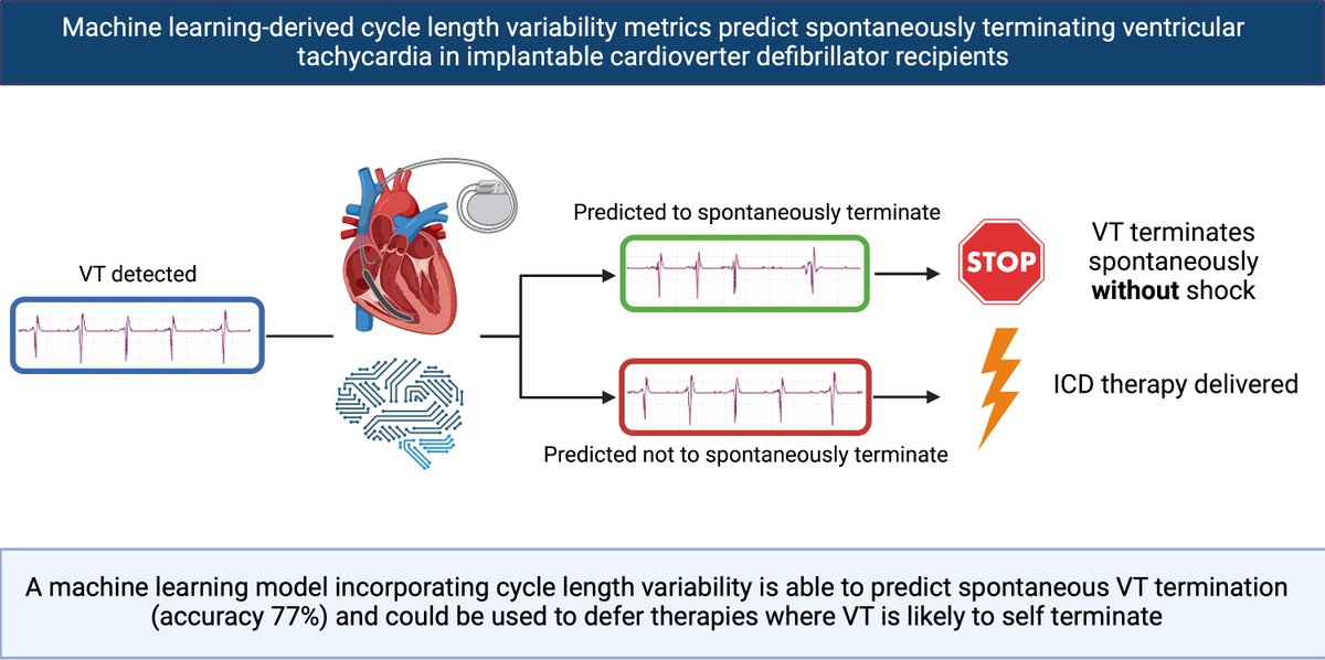 ⚡️⚡️⚡️

Can we predict VT episodes that will spontaneously terminate to withhold unnecessary ICD shocks?

Our latest paper in #EHJDigital
academic.oup.com/ehjdh/advance-…

@arunsau_ @junyu0chen @LiborPastika @Dr_Keene @ZacharyWhinnett @DocOfHearts @ImperialNHLI @ImperialEP @BruiningNico