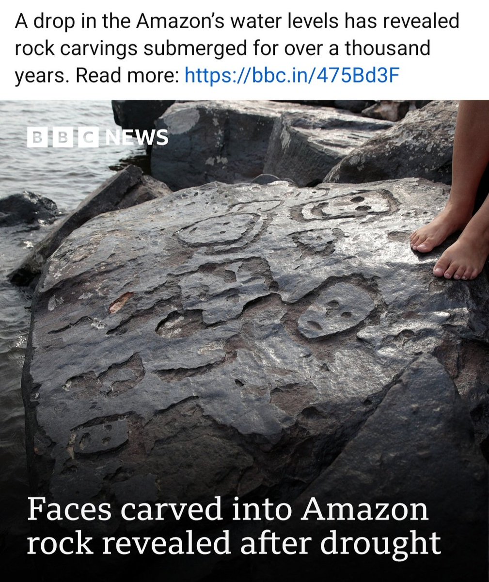 ancientmarinade's tweet image. Did not know #FidoDido was that old