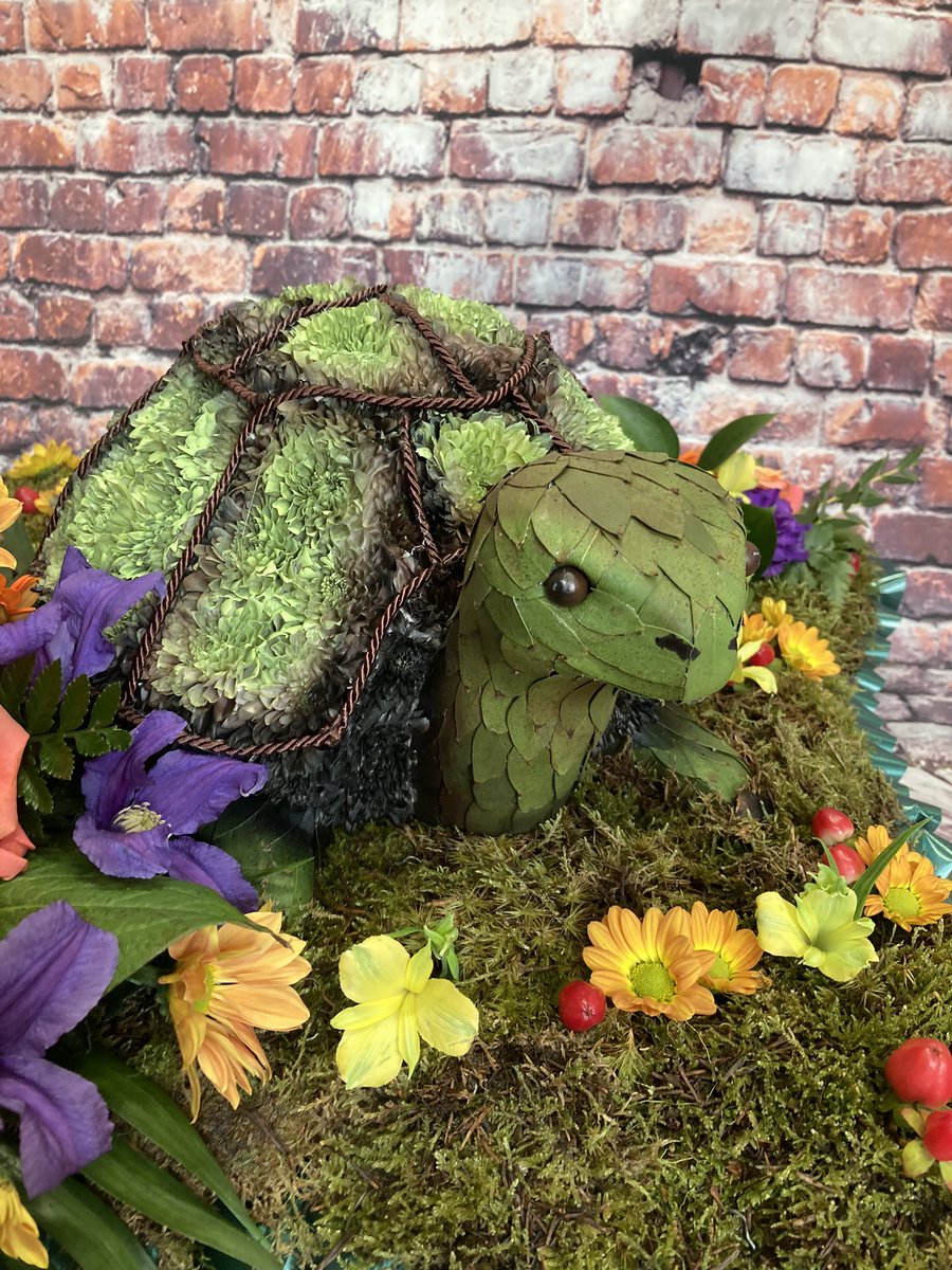 petalsmargate's tweet photo. https://t.co/J96EE4VphF