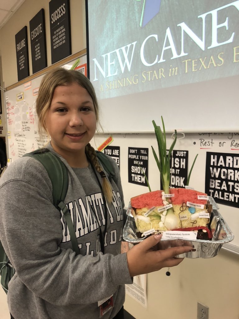 PHS Anatomy and Physiology Honors’ students use their creative juices  to construct 3-D models of their skin!  Structure dictates function! <a href="/PorterSpartans/">Porter HS</a> <a href="/CTENCISD/">New Caney ISD CTE</a> <a href="/condarco_cesar/">Cesar Condarco</a> <a href="/OGE3AP/">Ms. Ogata</a>