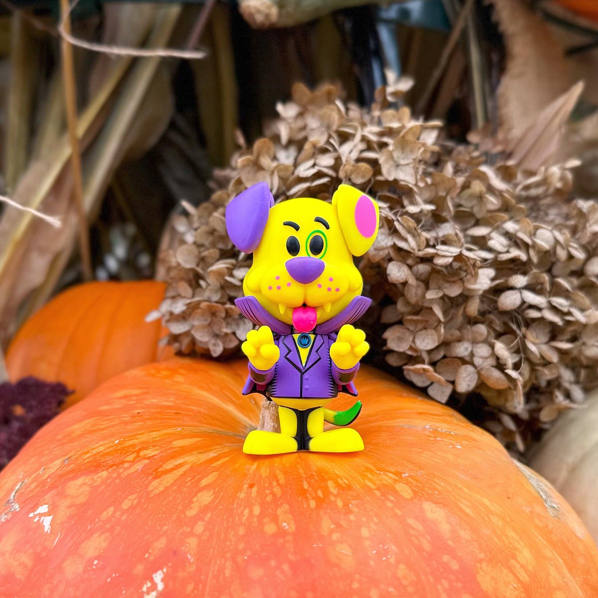 brunette_nerdet's tweet image. Beware Vampire Proto 
#funkosodasaturday #protothedog #funkoween 

@originalfunko 
#funkophotography 
#funkofunatic 
#myfunkostory