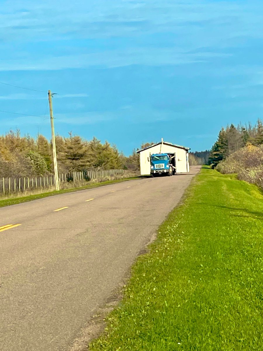 I love rural living… until your driving down the road and this is what you see 😳😳

At least harvest season is over and the tractors and combines aren’t around anymore 🤣
#ruralliving #HappySaturday