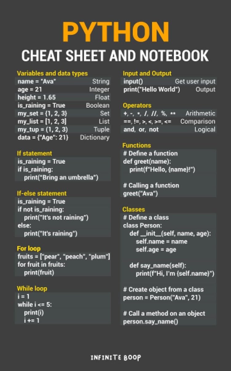 Python Coding tweet media