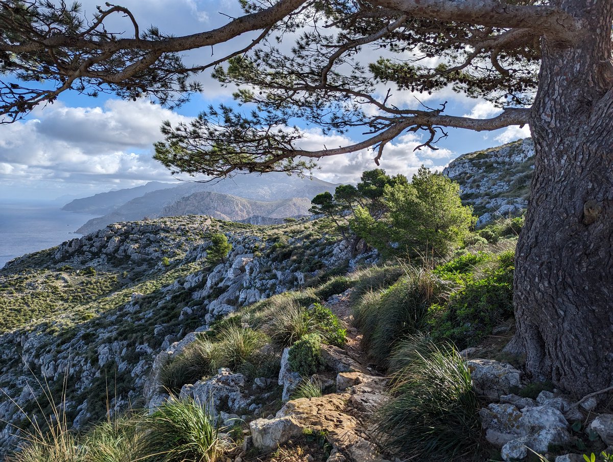ZinvolReizen's tweet photo. Het mooiste stukje van vandaag...
Na een klim over de berg heen kijken en dit uitzicht zien 😍
#GR221 #Mallorca #Spanje https://t.co/g9chizRbkO