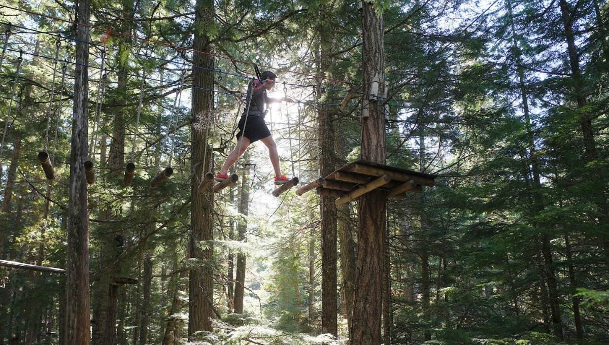 TheWebAdvisors's tweet photo. These aren't the regular obstacles Jared and Josh see in projects, but they successfully took them on! 

Now - less aerial logs and more strategy development 😎 

#TheWebAdvisors #TeamRetreat #WhistlerBC #ExploreBC https://t.co/BCUINnZjGj