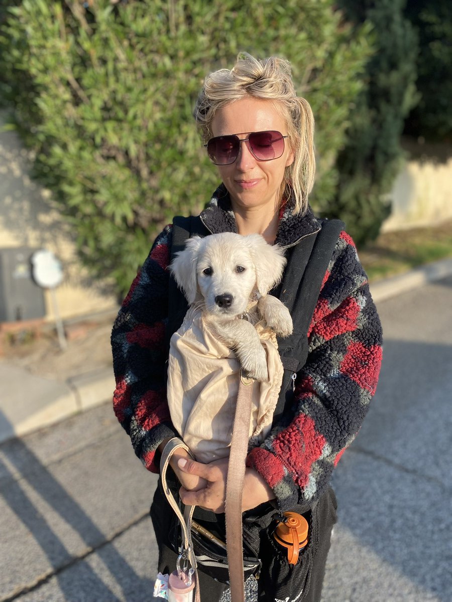JohannaMaska's tweet photo. Until she’s able to do 3 miles Gabby gets carried. ❤️ Hope you’re enjoying your Saturday. https://t.co/dbad8Dv6l3