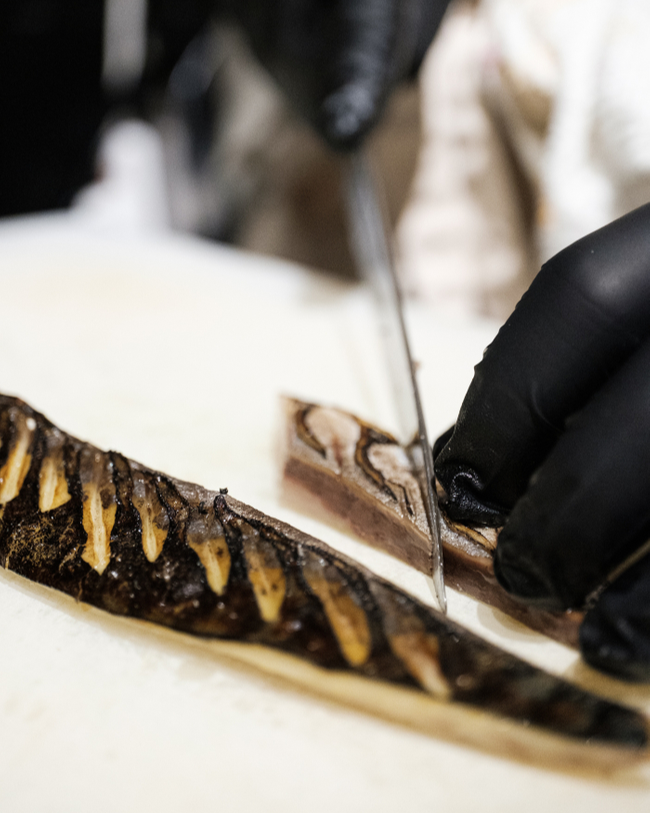 Chef Luke, Torching mackerel for our new crudo
helping release oils and add a smokey flavor!