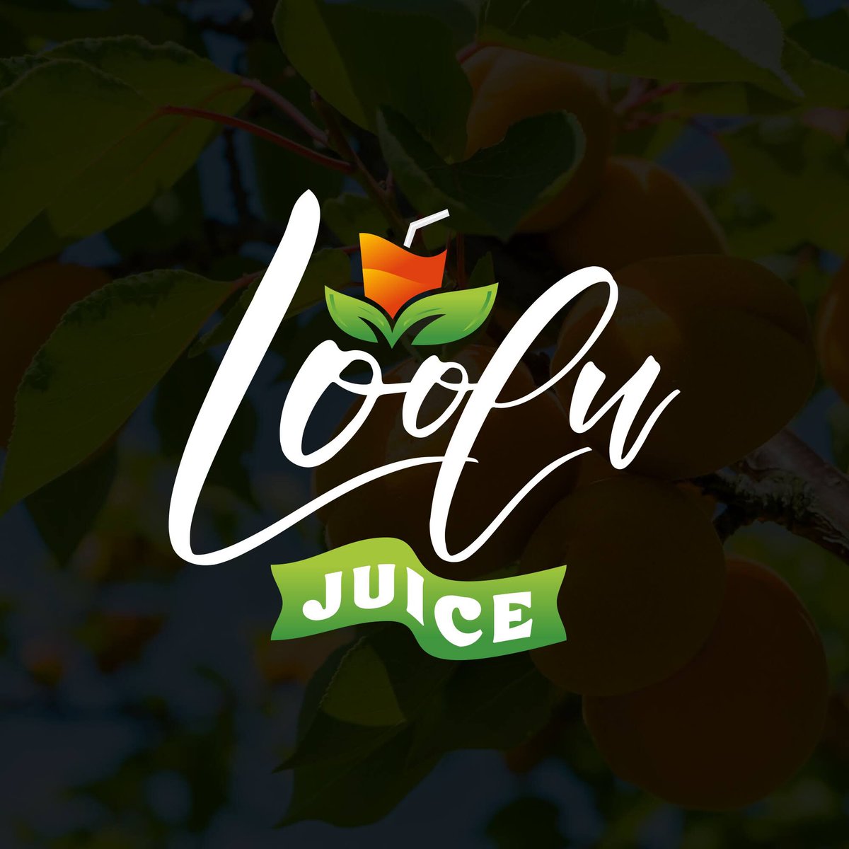 StevFredA's tweet image. Transform your vision into visual brilliance! Our graphic designs are crafted to leave a lasting impression. 🚀🖌️ #GraphicDesign #VisualAppeal