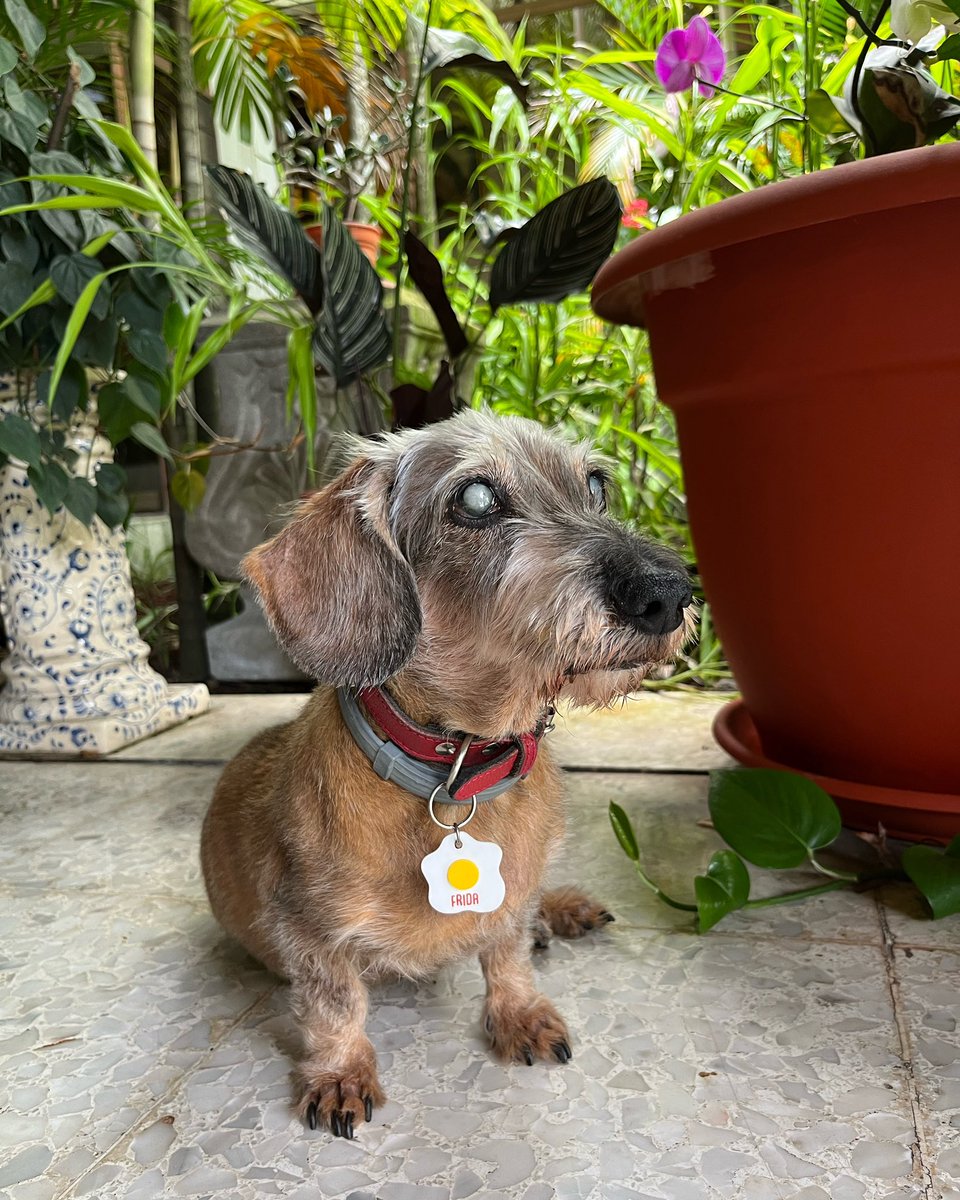 karla 🌱 tweet media