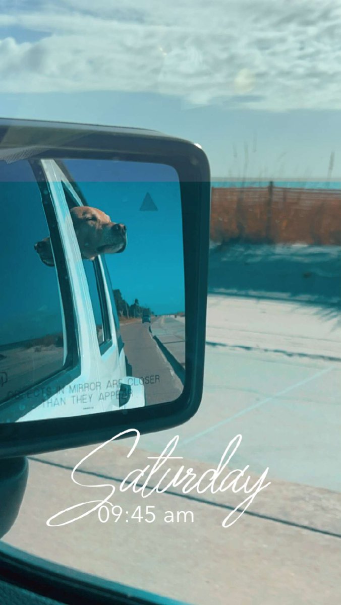 The face you make when you get to take a ride down the beach in your <a href="/Jeep/">Jeep</a> #Jeep