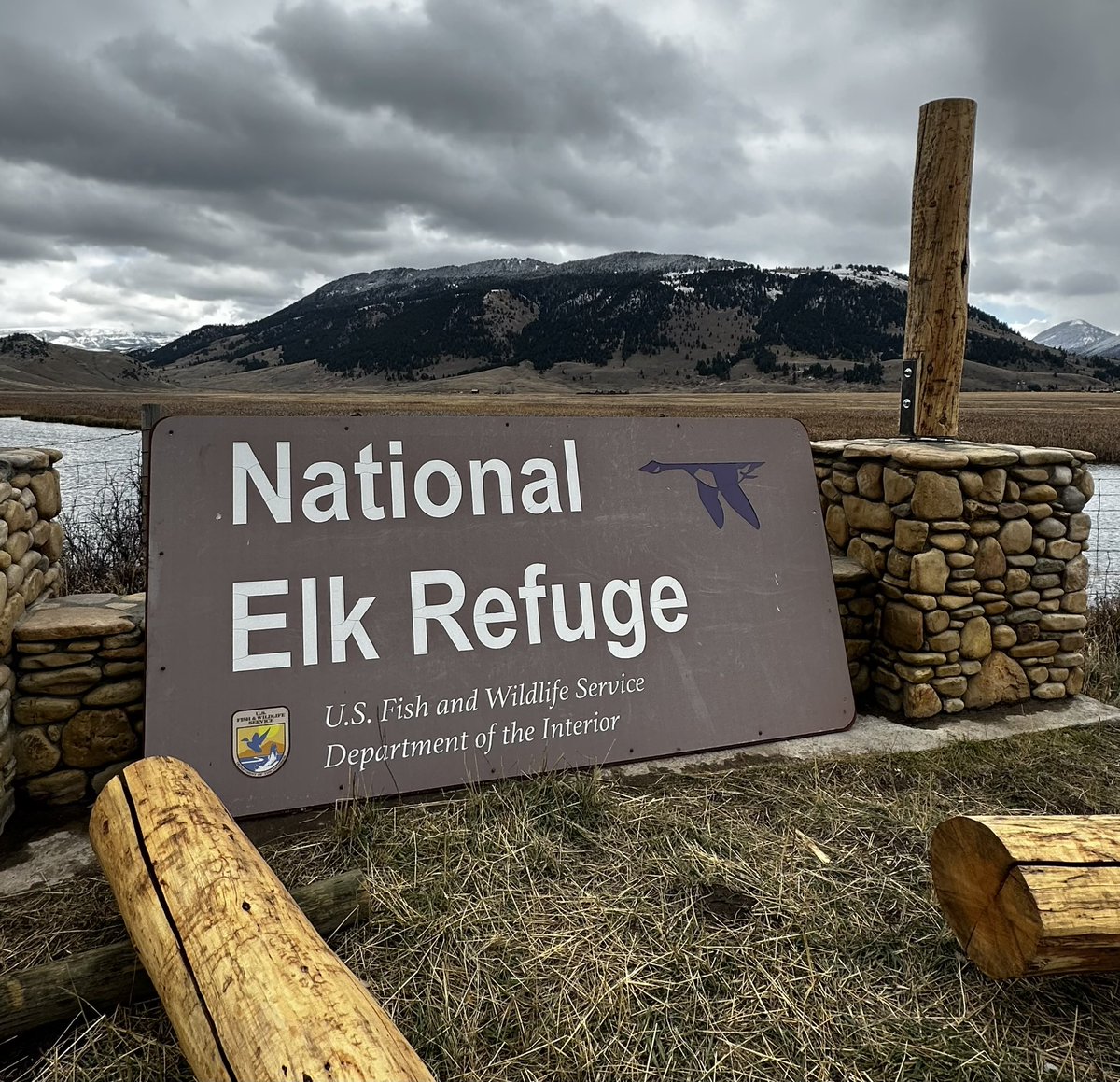 Will Payne tweet media