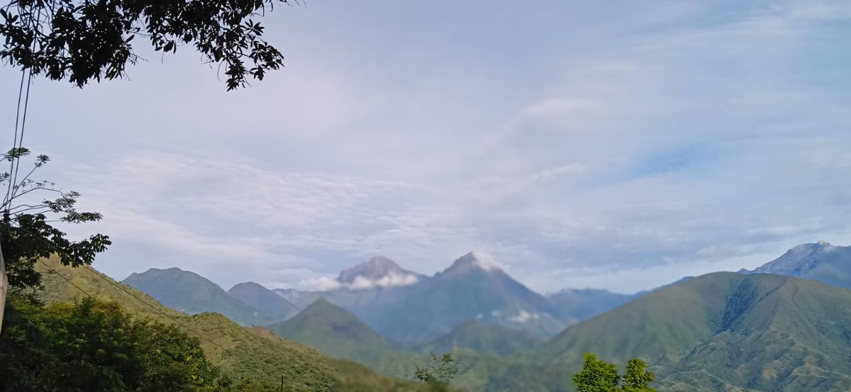GerardoJumi's tweet photo. Carta del Territorio. 

En la profundidad de los territorios de Colombia, Naciones y Pueblos, caminan la ruralidad, sus selvas, sus ríos, desiertos, sabanas, serranías y picos nevados, caminan a puestos de votación de los resguardos indígenas, los corregimientos, los municipios, las ciudades y los distritos para elegir a sus ediles, concejales, diputados  alcaldes  y  sus gobernadores departamentales. 

Vota por listas y candidatos del @MovimientoMAIS en toda Colombia.

Vota Por listas y candidatos del Pacto Histórico (@pactocol) en todo el territorio nacional. 

En Bogotá, D.C, 

Vota por listas y candidatos del Pacto Histórico (@PactoCol) Juntas Administradoras Locales (Ediles), Concejo del Distrito.

Para Alcalde Mayor de Bogotá vota por @GustavoBolivar 

Después de muchos años de soledad, Colombia se merece una segunda oportunidad. 

C. C. 

@petrogustavo @FranciaMarquezM 
@velascoluisf 

@PGN_COL 
@DefensoriaCol @MisionONUCol @MAPPOEA 

@NoticiasCaracol @CaracolRadio @elespectador @WRadioColombia @ElUniversalCtg @elpaiscali @elcolombiano @estoescambio @BogotaET @lasillavacia @RTVCnoticias 

@ONIC_Colombia @MPCindigena @OIA_COLOMBIA @OrivacOficial @UNIPAcomunica @CRIC_Cauca @indigenasCRIR @CRIDEC_caldas