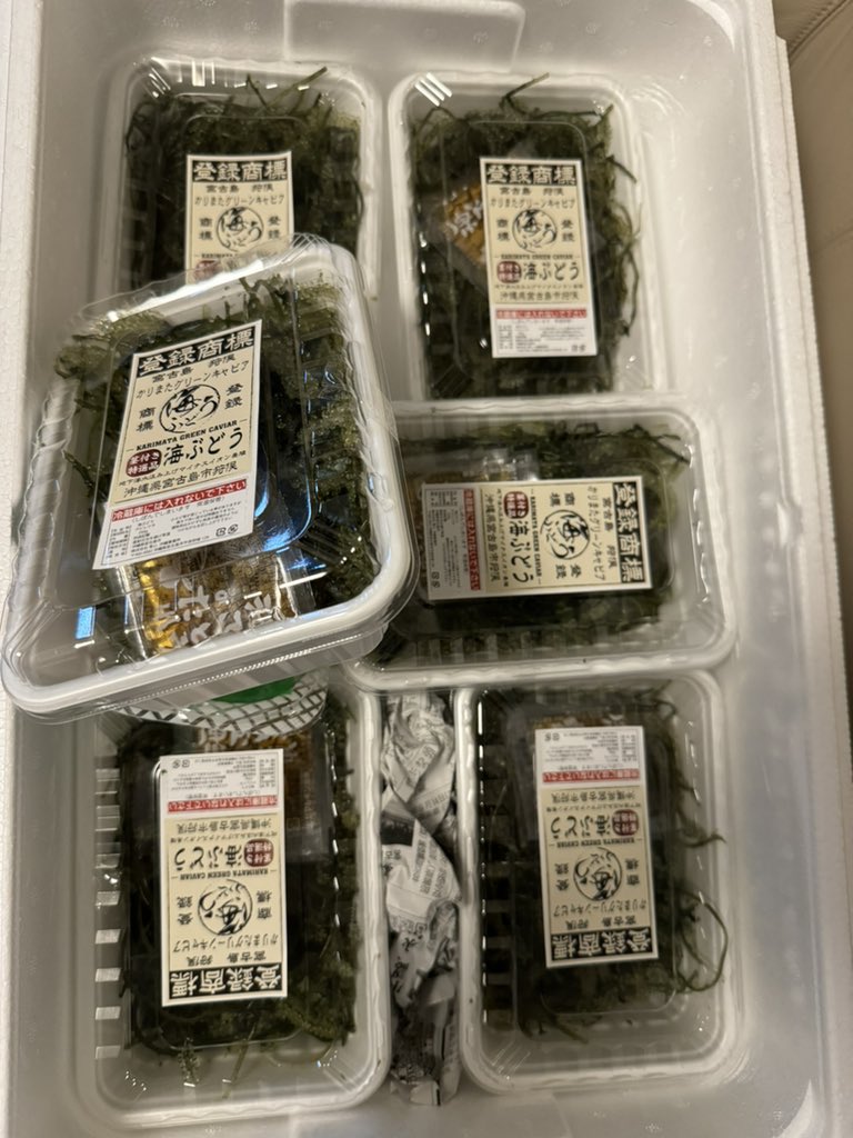 prehanata's tweet photo. 海ぶどうが好きすぎて1.5L取り寄せてしまった。
これから数日は食卓、海ぶどう祭りです。 https://t.co/LiB2daEY6j