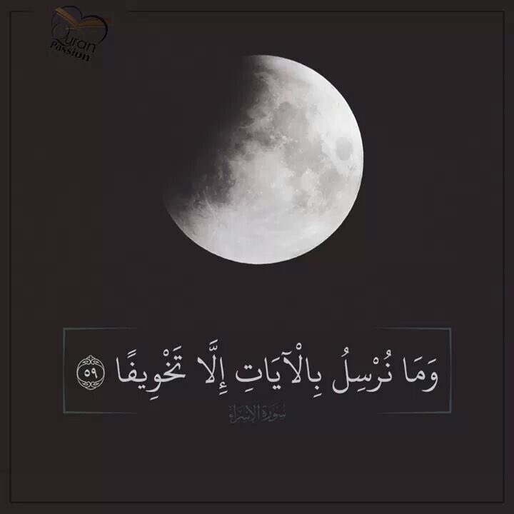 Me__arr tweet picture