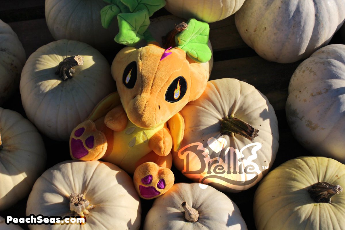 PeachSeas's tweet photo. Livin’ my best gourd life 😎

https://t.co/Rx79NnSLUP

~more photos to come~ https://t.co/ZGZsnc7eln