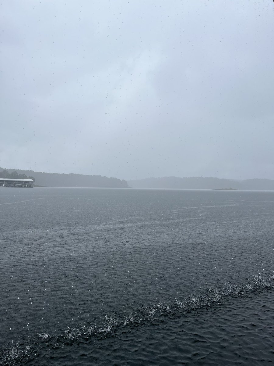 fropappy's tweet photo. HEAVY rain at Degray.
We’ve had a couple moments of quiet, but they didn’t last long. #Rain #Degray #LakeLife #Storm #Arkansas #ARWX #IronMountain https://t.co/4xyhZDBwUK