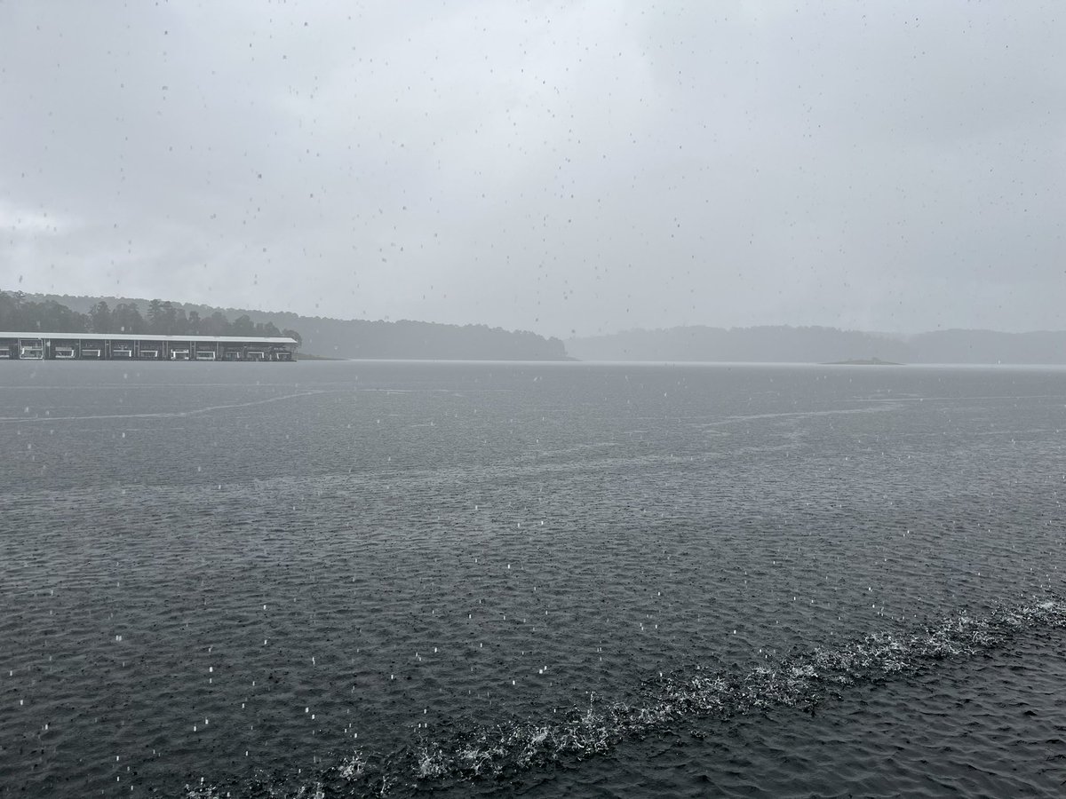 fropappy's tweet photo. HEAVY rain at Degray.
We’ve had a couple moments of quiet, but they didn’t last long. #Rain #Degray #LakeLife #Storm #Arkansas #ARWX #IronMountain https://t.co/4xyhZDBwUK