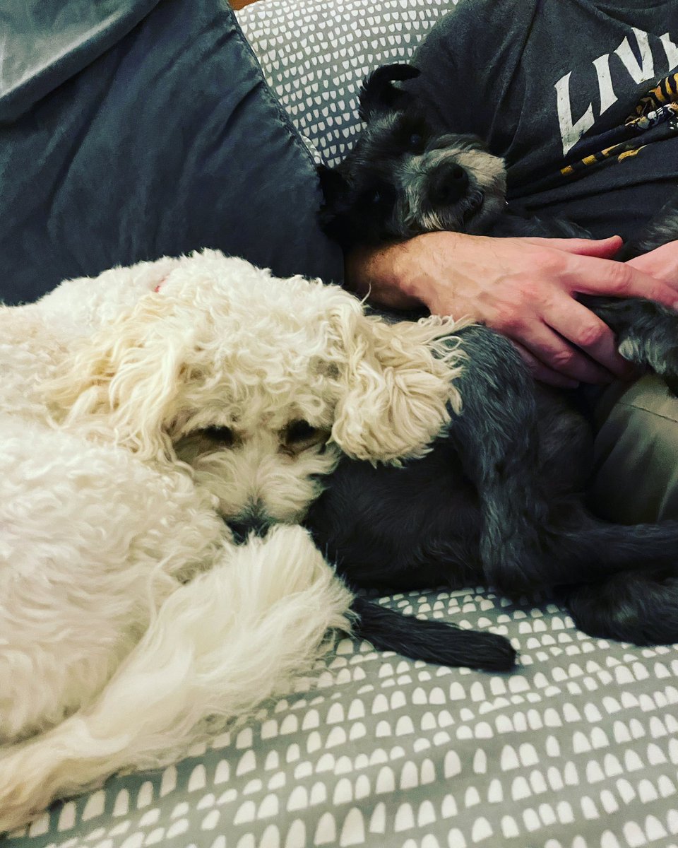 Claudia Money tweet media