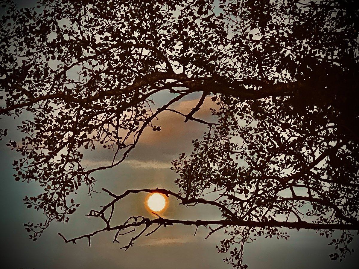 #Stupore_Lucano #basilicata #luna #moon #soyluna #moonlight #love #photography #night #fullmoon #sky #nature #ig #moonlovers #photooftheday #art #sol #space #lunallena #moonphotography #nightsky #instagram #instagood #photo #lunar #astrophotography #astronomy #cielo #noche #stars