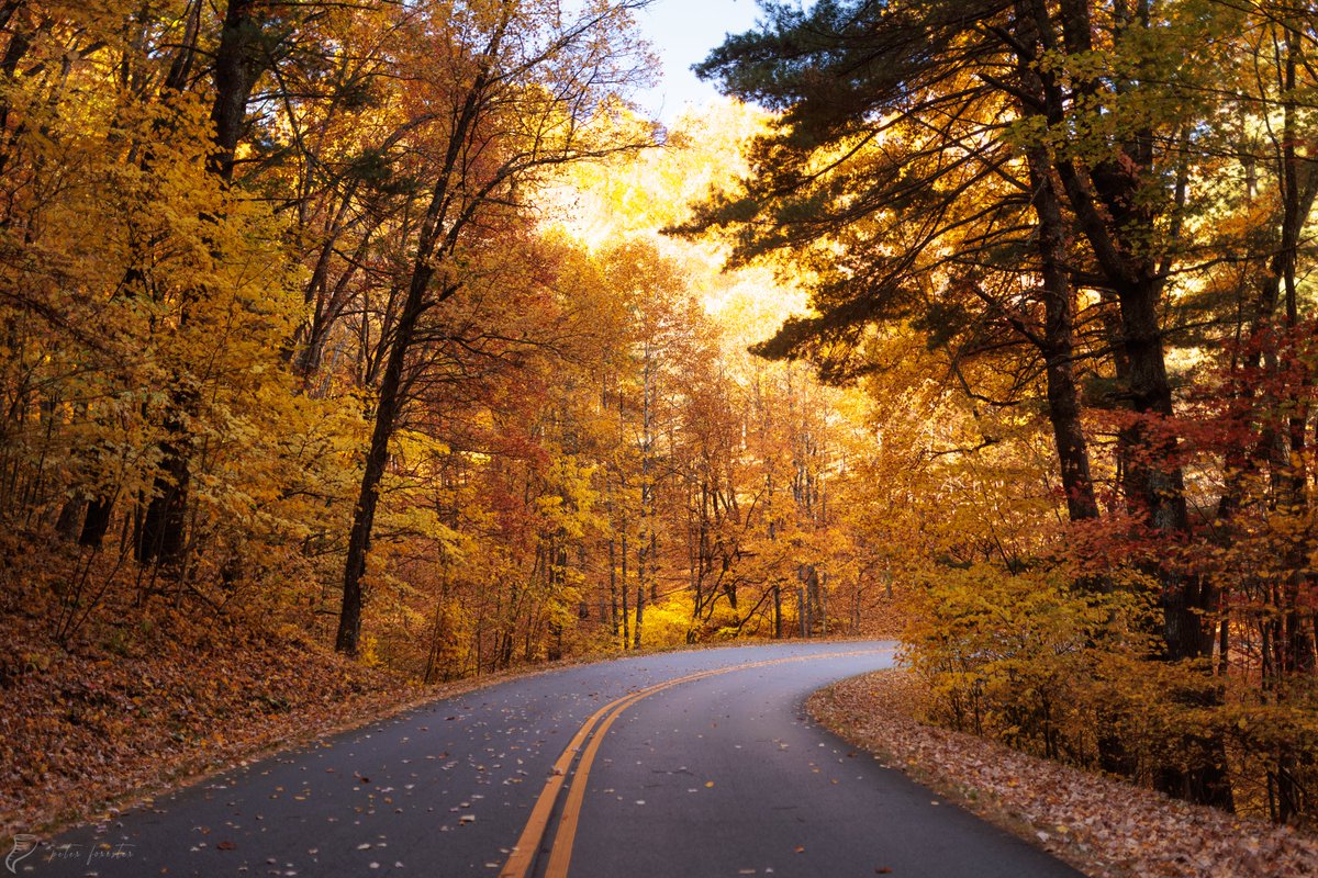 forecaster25's tweet photo. Fall in Virginia's Blue Ridge Mountains today https://t.co/DsSOPocc3q