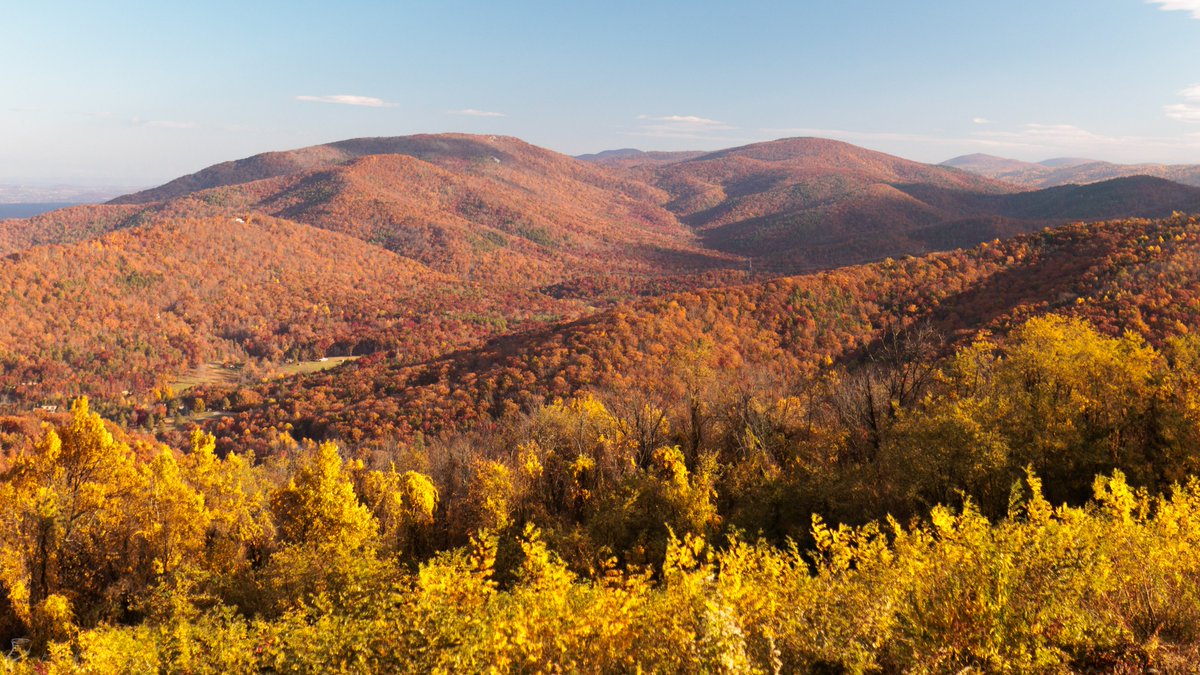 forecaster25's tweet photo. Fall in Virginia's Blue Ridge Mountains today https://t.co/DsSOPocc3q
