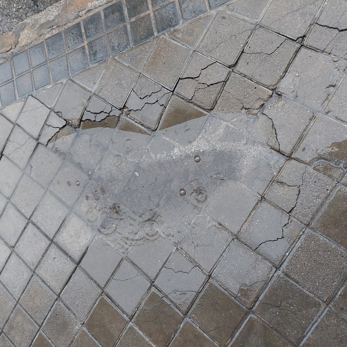 ALPozuelo's tweet photo. @Lineamadrid , hay una anomalía en la acera de la calle del Tercio 30 y 32.
Esta undida la acera https://t.co/5Pct6TcEd8