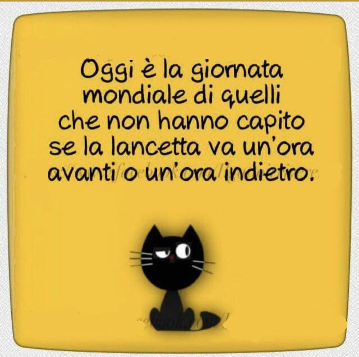 <a href="/massimi02112109/">massimiliano Ferrara 🌈#antifascista</a> <a href="/SuttoraM/">suttora marina</a> <a href="/guagnano_paolo/">Paolo Guagnano</a> <a href="/tantumanita/">🍀🌸Lilian@.🌸🍀</a> <a href="/MolaschiClara/">Clara Molaschi</a> <a href="/Rossana7336/">Rossana</a> <a href="/Cristin97215062/">Cristina</a> <a href="/dianafalcione69/">Diana Falcione</a> <a href="/Enzo55179168/">Enzo</a> <a href="/RobertoGranai/">Bob McCartney /Lennon /Harrison /Starr (Let it be)</a> <a href="/MeeraVGonzalez/">MEERA VI 🇦🇷 💙 #ProVida #LasLetrasdeMEERAVI</a> <a href="/AlteaFerrari/">ferrari silvia</a> Buonanotte, Massimiliano🥱😴