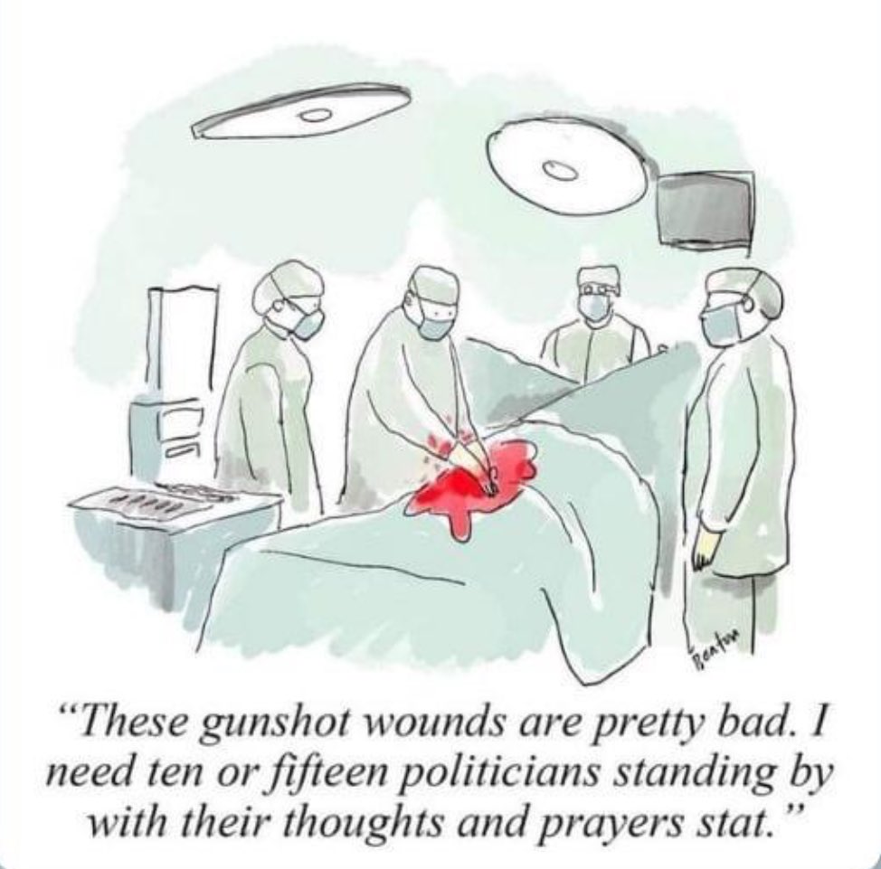Spot on about politicians and mass shootings:
