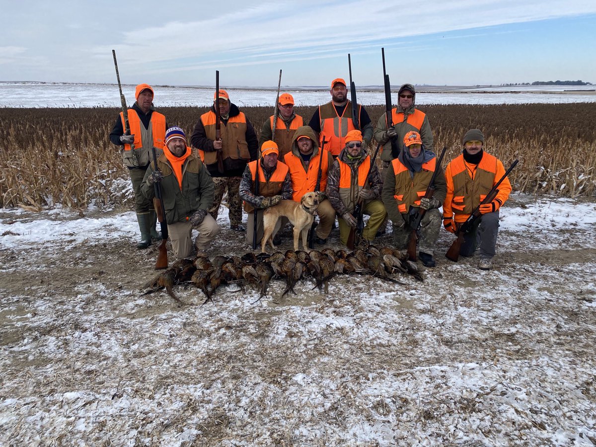 shinychevy's tweet photo. #RoosterRush #SoDak Pheasant hunt.  Shout out to my hunting buddy Tom for setting up a fantastic hunt at Hills View Hunts https://t.co/rYyATh20VP