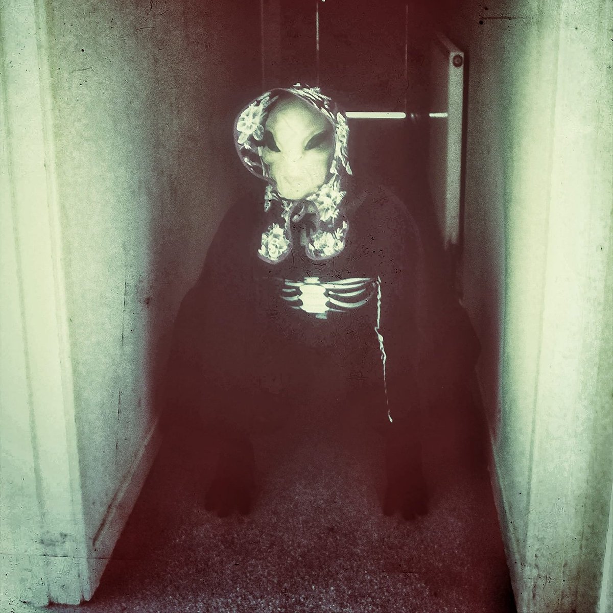 wampiremaster's tweet photo. Alien Lady Halloween Model Full Video Bellow 👇 https://t.co/MAZ6OteYUg
#valdiskarklins #halloween #halloweenmakeup #halloweencostume #halloweenoutfit #halloweenoutfits #femalemask #femalemasking #femalemasker #model #modeling #modelingphotography #alien #alienmask #mask https://t.co/jqCJTT0E1V