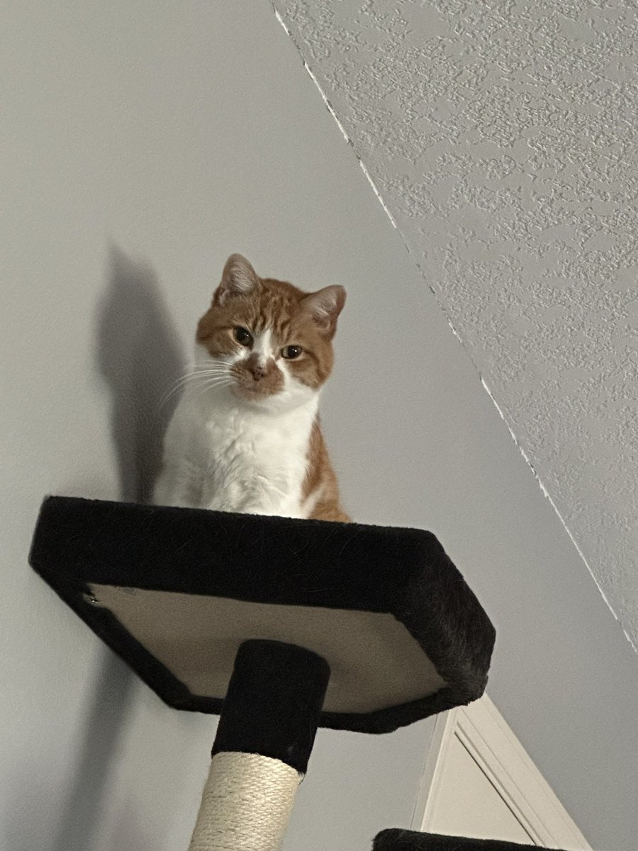 cupdates69's tweet image. 