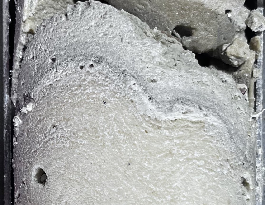 Christina Ravelo tweet media