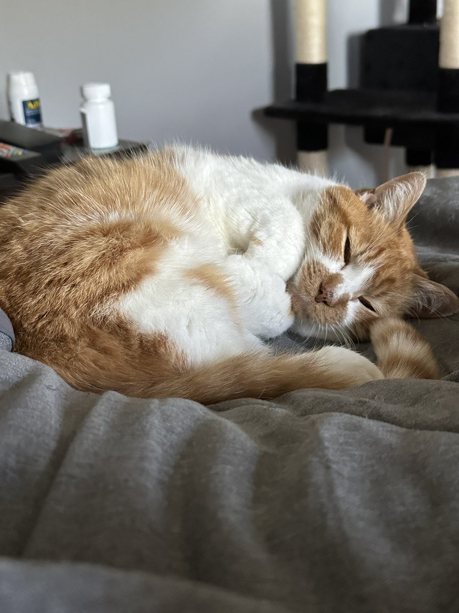 cupdates69's tweet image. 