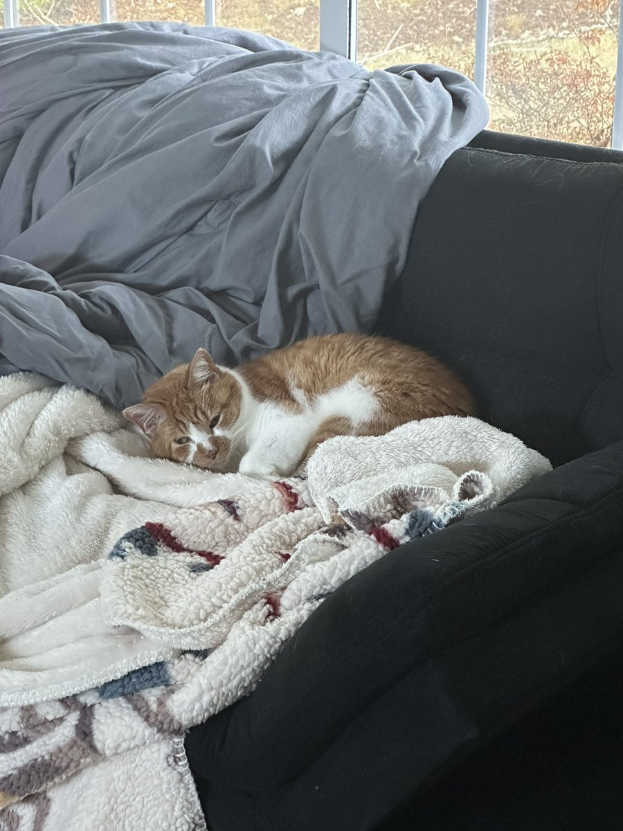 cupdates69's tweet image. 