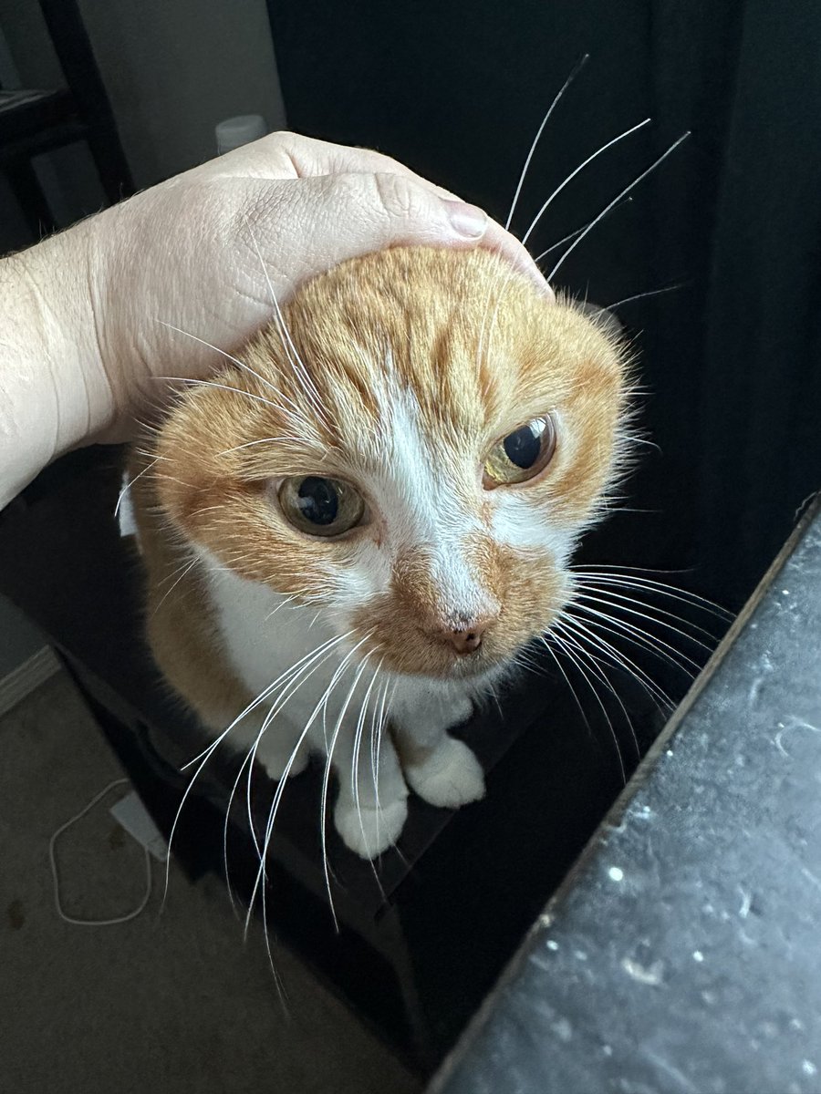 cupdates69's tweet image. 