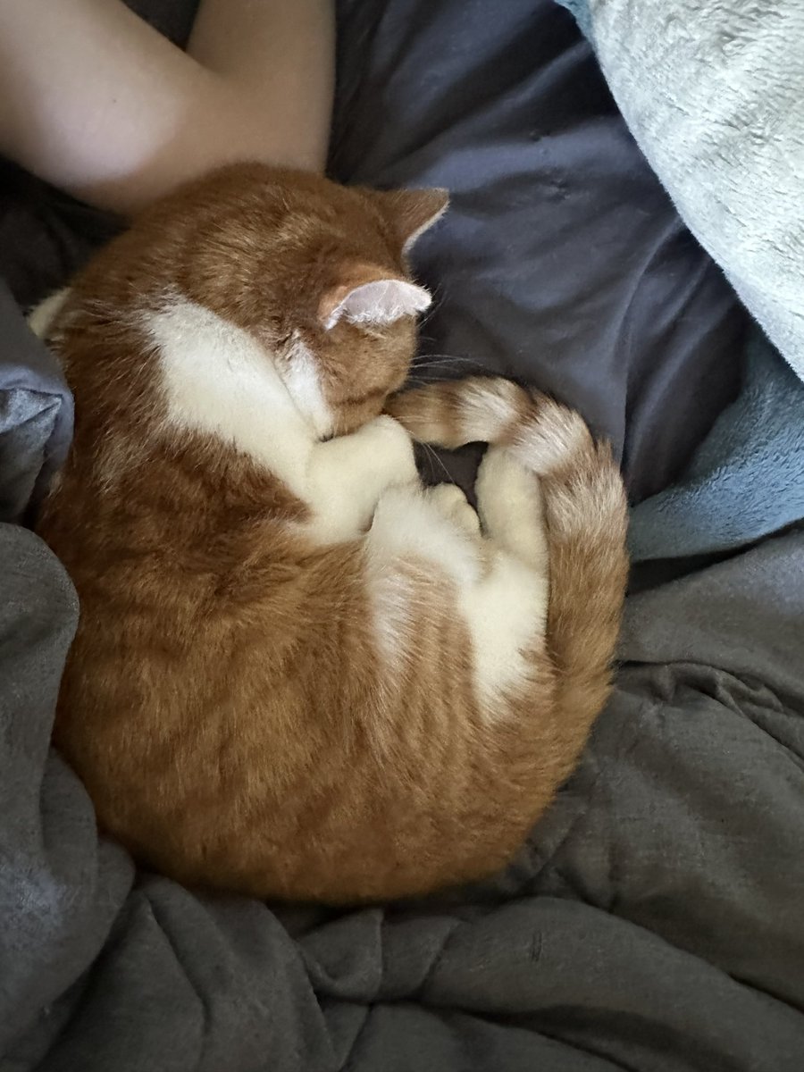 cupdates69's tweet image. 