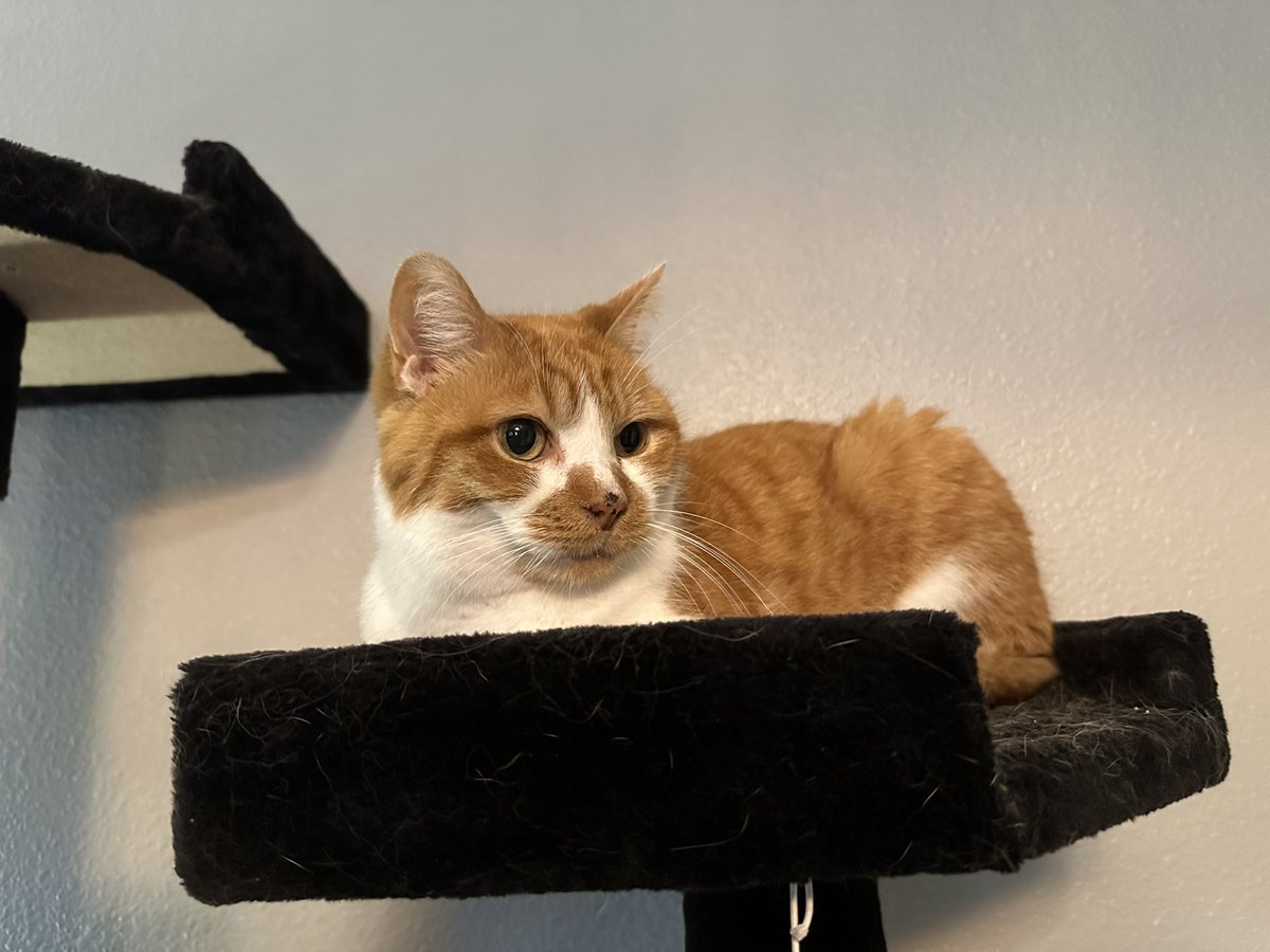 cupdates69's tweet image. 