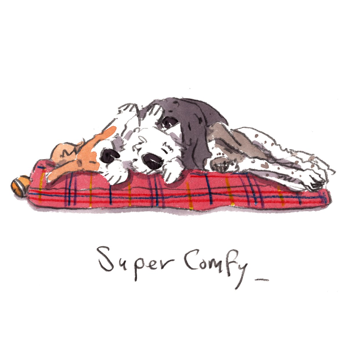 Good night, lovely people and lovely dogs.
The team are super comfy.
Sleep well and sweet dreams.
I hope that you have a really lovely day tomorrow. 
#hoorayfordogs #beagle #westie #labrador #springer #redsquirrel #supercomfy
